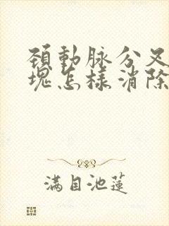 颈动脉分叉处斑块怎样消除最好的方法