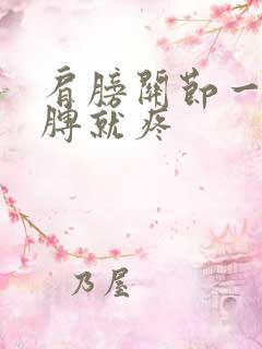 肩膀关节一抬胳膊就疼