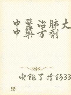 中医治肺大泡化中药方剂