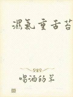 湿气重舌苔白吗