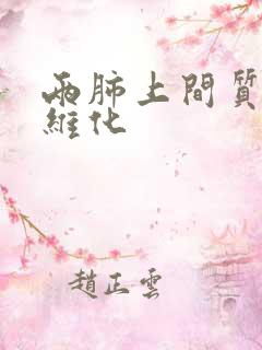 两肺上间质性纤维化