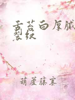 舌苔白厚腻中竖裂纹