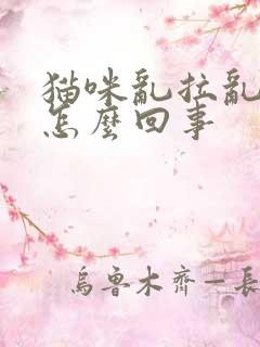 猫咪乱拉乱尿是怎么回事