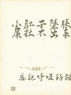 小肚子坠胀想拉屎拉不出来怎么回事