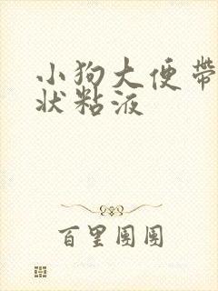 小狗大便带果冻状粘液