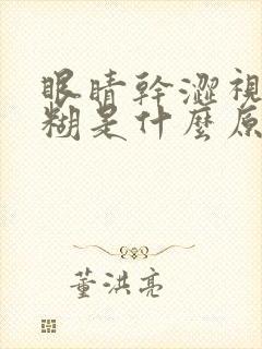 眼睛干涩视力模糊是什么原因造成的用什么药