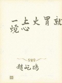 一上火胃就反酸烧心