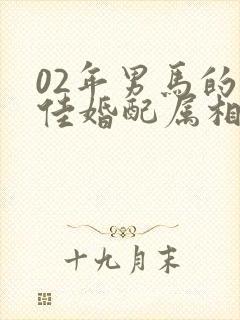 02年男马的最佳婚配属相