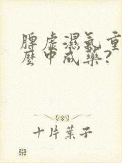 脾虚湿气重吃什么中成药?