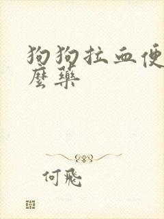 狗狗拉血便吃什么药