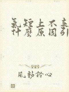 气短上不来气是什么原因引起的