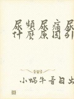 尿频尿痛尿出血什么原因引起的