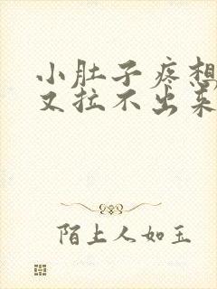 小肚子疼想大便又拉不出来怎么回事