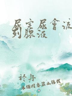 尿完尿会流出前列腺液