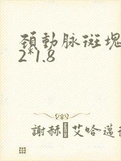 颈动脉斑块6.2*1.8