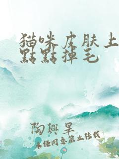 猫咪皮肤上有黑点点掉毛