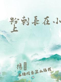 粉刺长在小弟弟上