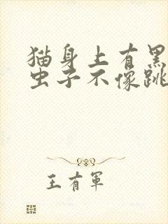 猫身上有黑色的虫子不像跳蚤