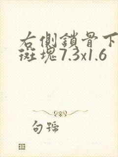 右侧锁骨下动脉斑块7.3x1.6
