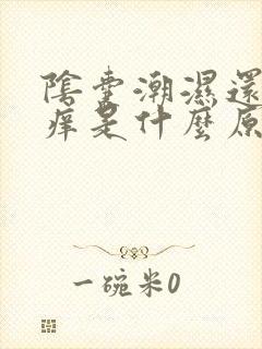 阴囊潮湿还有点痒是什么原因