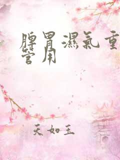 脾胃湿气重吃啥管用