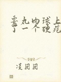 睾丸肉球上面长了一个硬疙瘩