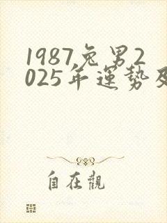 1987兔男2025年运势及运程