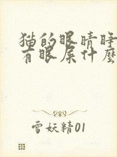 猫的眼睛睁不开有眼屎什么原因造成