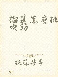 榴莲怎么挑选好吃的