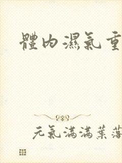 体内湿气重除湿