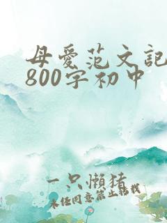 母爱范文记叙文800字初中