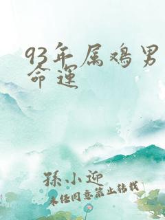 93年属鸡男的命运