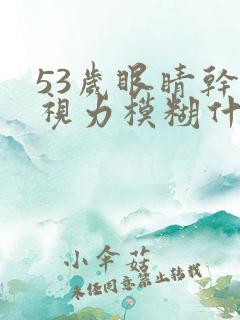 53岁眼睛干涩视力模糊什么原因