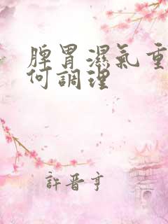 脾胃湿气重该如何调理