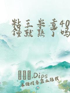 粘玉米煮40分钟就熟了吗