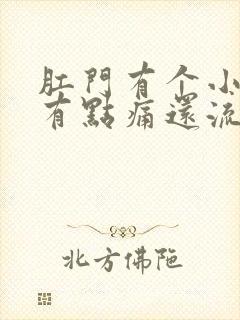 肛门有个小肉球有点痛还流血