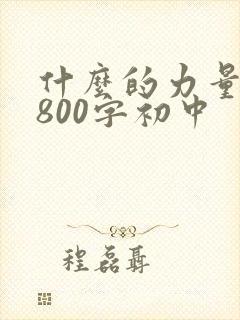 什么的力量作文800字初中