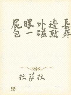 屁眼外边长了个包一碰就疼