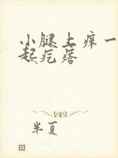 小腿上痒一挠就起疙瘩