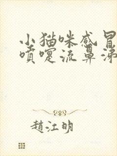 小猫咪感冒了打喷嚏流鼻涕怎么办