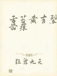 舌苔黄有裂纹和齿痕