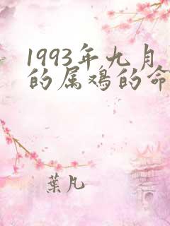 1993年九月的属鸡的命运