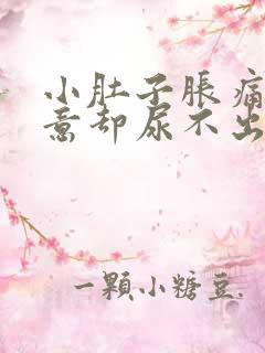 小肚子胀痛有尿意却尿不出来