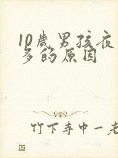 10岁男孩夜尿多的原因