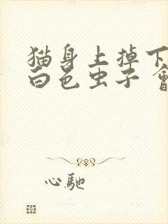 猫身上掉下来的白色虫子 会蠕动