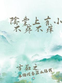 阴囊上有小疙瘩 不疼不痒