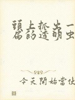 头上抓出一个扁扁的透明虫子