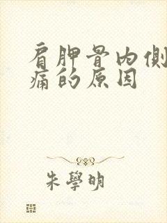 肩胛骨内侧缘酸痛的原因