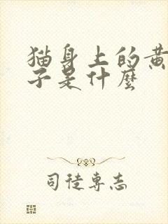 猫身上的黄色虫子是什么