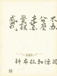 感觉老公不在乎我该怎么办